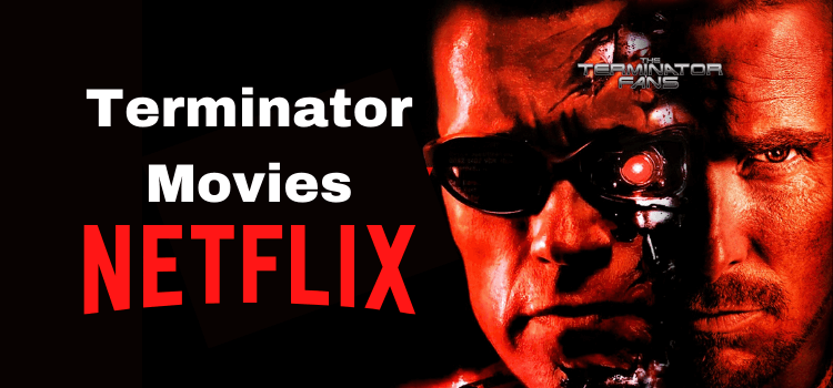 How to Watch All Terminator Movies on Netflix [Unblocking Guide]